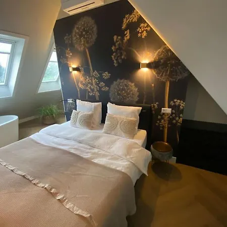 Апартаменты Ricks Барневелд