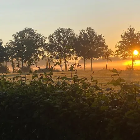 Ricks * Barneveld